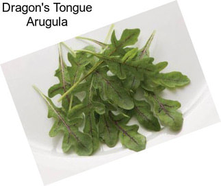 Dragon\'s Tongue Arugula