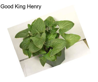 Good King Henry