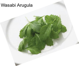 Wasabi Arugula