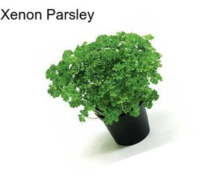 Xenon Parsley