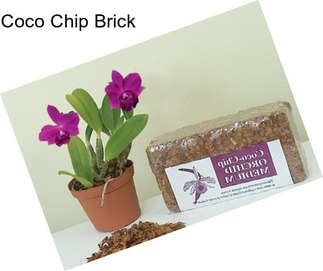 Coco Chip Brick