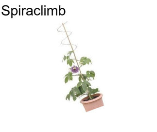 Spiraclimb