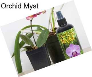 Orchid Myst