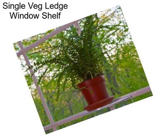 Single Veg Ledge Window Shelf