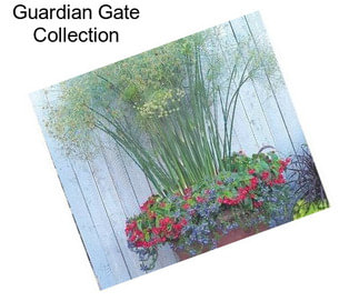 Guardian Gate Collection