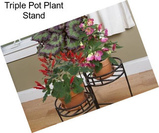 Triple Pot Plant Stand
