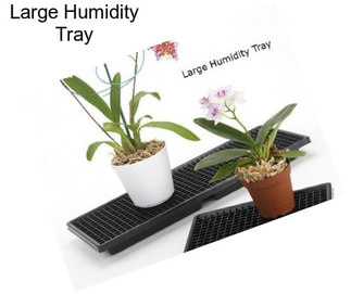 Large Humidity Tray