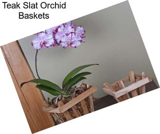 Teak Slat Orchid Baskets