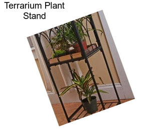 Terrarium Plant Stand