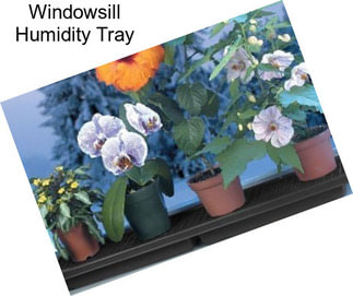 Windowsill Humidity Tray