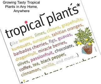 Growing Tasty Tropical Plants in Any Home, Anywhere