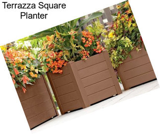 Terrazza Square Planter