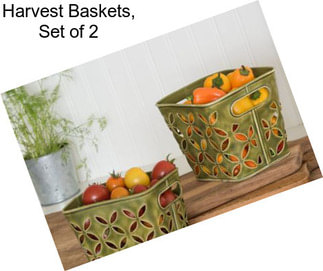 Harvest Baskets, Set of 2