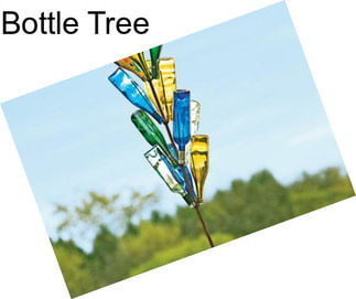 Bottle Tree