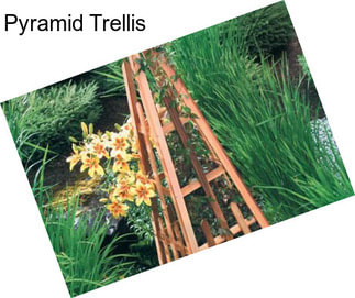 Pyramid Trellis