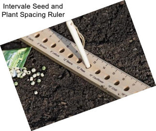 Intervale Seed and Plant Spacing Ruler