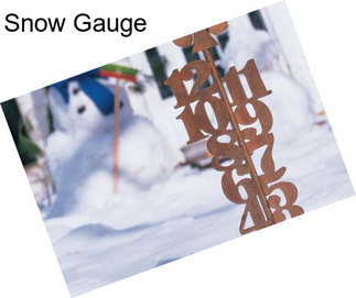 Snow Gauge