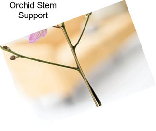Orchid Stem Support