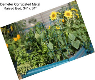 Demeter Corrugated Metal Raised Bed, 34” x 34”