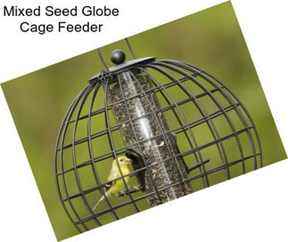 Mixed Seed Globe Cage Feeder