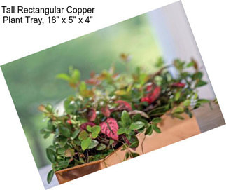 Tall Rectangular Copper Plant Tray, 18” x 5” x 4”