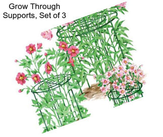 Grow Through Supports, Set of 3