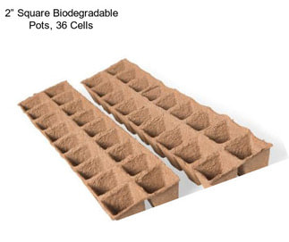 2” Square Biodegradable Pots, 36 Cells