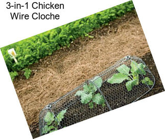 3-in-1 Chicken Wire Cloche