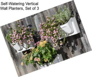 Self-Watering Vertical Wall Planters, Set of 3