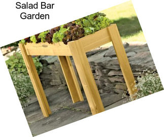 Salad Bar Garden