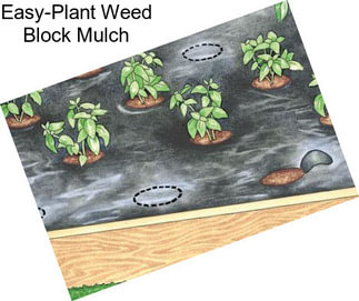 Easy-Plant Weed Block Mulch