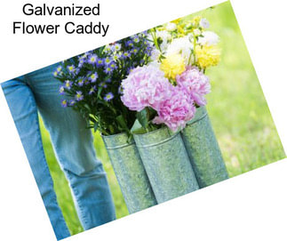 Galvanized Flower Caddy