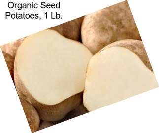 Organic Seed Potatoes, 1 Lb.