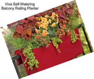 Viva Self-Watering Balcony Railing Planter