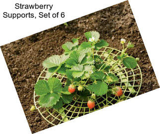 Strawberry Supports, Set of 6