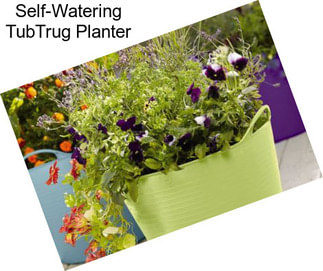 Self-Watering TubTrug Planter