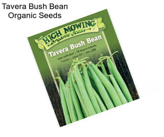Tavera Bush Bean Organic Seeds
