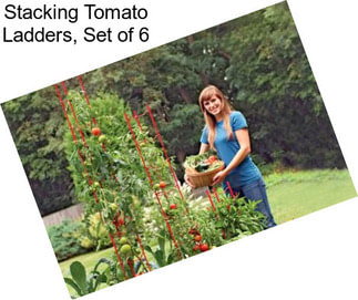 Stacking Tomato Ladders, Set of 6