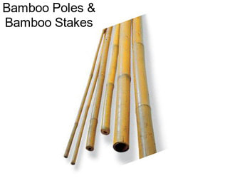 Bamboo Poles & Bamboo Stakes