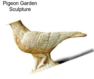 Pigeon Garden Sculpture