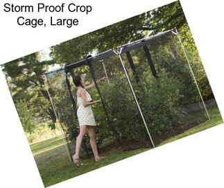 Storm Proof Crop Cage, Large