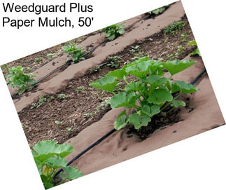 Weedguard Plus Paper Mulch, 50\'