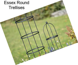 Essex Round Trellises