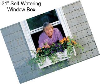 31” Self-Watering Window Box