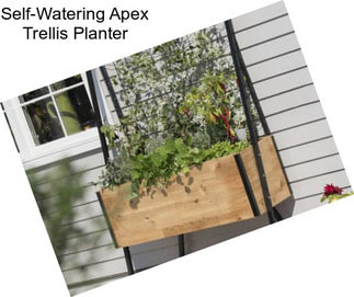 Self-Watering Apex Trellis Planter