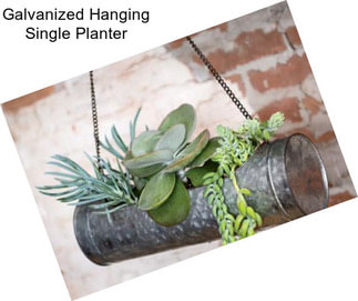 Galvanized Hanging Single Planter