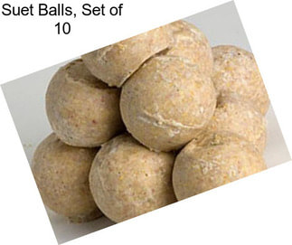 Suet Balls, Set of 10