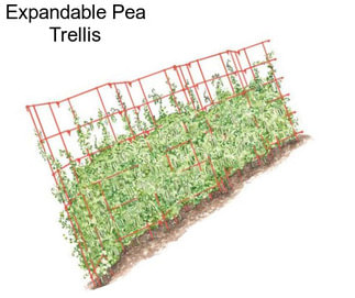 Expandable Pea Trellis