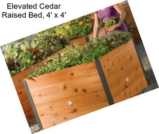 Elevated Cedar Raised Bed, 4\' x 4\'