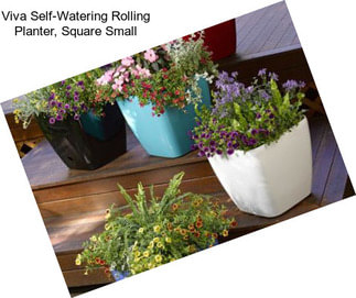 Viva Self-Watering Rolling Planter, Square Small